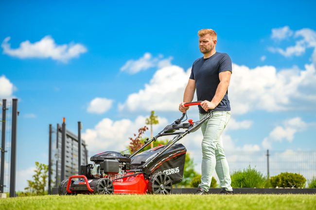 CEDRUS KS53S-L KOSIARKA SPALINOWA DO TRAWY Z NAPĘDEM LONCIN LC1P70FC 53cm / 6,5 KM - EWIMAX - OFICJALNY DYSTRYBUTOR - AUTORYZOWANY DEALER CEDRUS