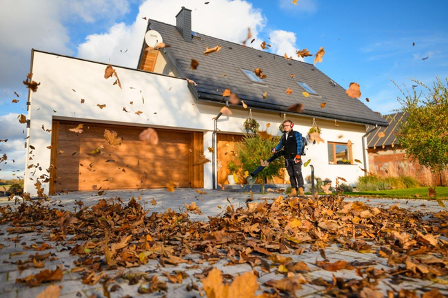 CEDRUS DM05 PRO PROFESSIONAL GARDEN LEAF BLOWER HOOVER - OFICIÁLNÍ DISTRIBUTOR - AUTORIZOVANÝ PRODEJCE CEDRUS