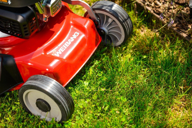 KAWASAKI WEIBANG WB536SK V 3in1 MOTORIZED KAWASAKI FJ180V SPRING MOWER WITH 53cm / 5.5HP DRIVE - EWIMAX - OFFICIAL DISTRIBUTOR - AUTHORIZED DEALER CEDRUS