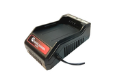 MARUYAMA BYC36CE 36V BATTERY CHARGER