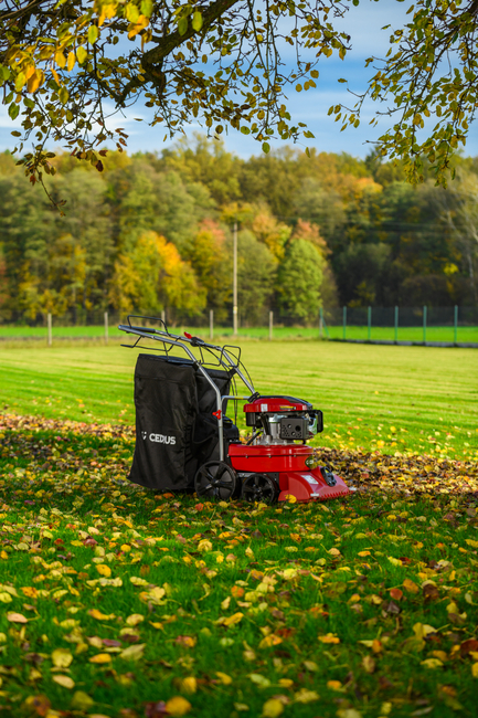 CEDRUS LV58 S PROFESIONÁLNÍ ZAHRADNÍ ČISTIČ LISTŮ 4 v 1 + VERTIKULÁTOR KOLOVÝ POHYBLIVÝ POHON 2v1 LV58S - OFICIÁLNÍ DISTRIBUTOR - AUTORIZOVANÝ PRODEJCE CEDRUS