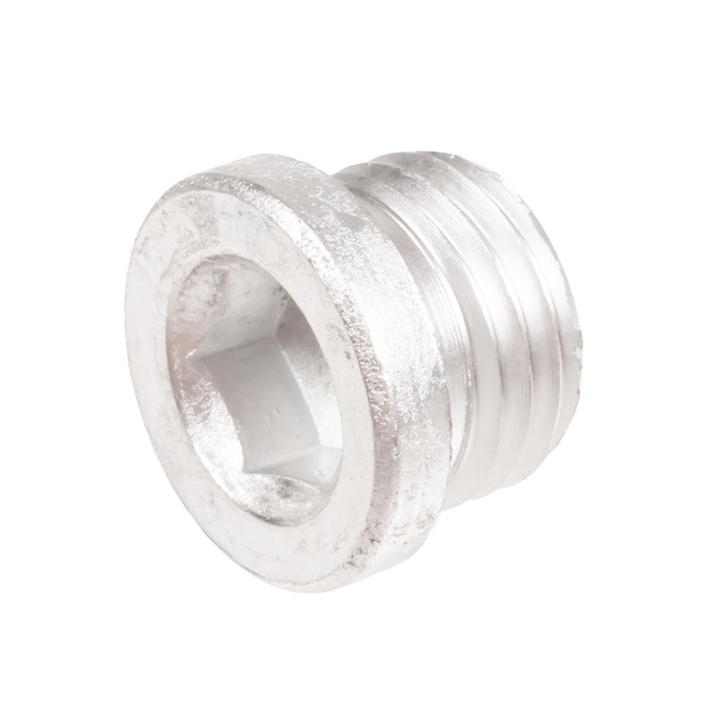 Cedrus pressure washer MC110 valve cap 560150