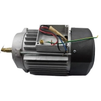 DEDRA DED7824 #43 Silnik do przecinarki glazury i płytek, motor część XDED7824.43