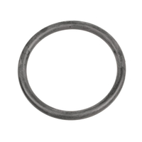 Těsnění hřídele kompaktoru CEDRUS ZG04 070731