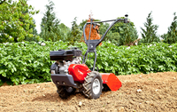 PUBERT ROTO 408 PETROL ROTOVATOR CULTIVATOR HONDA GP160 - EWIMAX - OFFICIAL DISTRIBUTOR - AUTHORIZED PUBERT DEALER