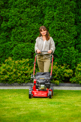 WEIBANG WB455SC 3W1 MOTORIZED VERTICAL MOWER 3.5 HP / 45cm - OFFICIAL DISTRIBUTOR - AUTHORIZED WEIBANG DEALER