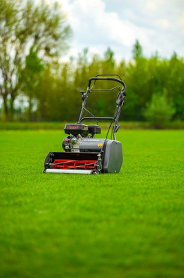 CEDRUS SM42 SPRINNE REEL MOWER 42 cm / 6.5 hp CEDRUS CEDSM42 - OFFICIAL DISTRIBUTOR - AUTHORIZED DEALER CEDRUS