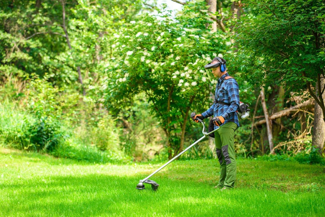 CEDRUS WK330 PETROL GRASS TRIMMER MOWER 1.2 KM EWIMAX-OFFICIAL DISTRIBUTOR - AUTHORIZED CEDRUS DEALER