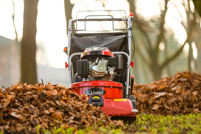 CEDRUS LV58 S PROFESSIONAL CLEANER + 4in1 SPRINEL LEAF VERTICULATOR 4in1 GARDEN DRIVE ROAD DRIVER 2in1 LV58S - OFFICIAL DISTRIBUTOR - AUTHORIZED DEALER CEDRUS