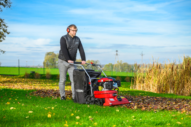 CEDRUS LV58 S PROFESSIONAL CLEANER + 4in1 SPRINEL LEAF VERTICULATOR 4in1 GARDEN DRIVE ROAD DRIVER 2in1 LV58S - OFFICIAL DISTRIBUTOR - AUTHORIZED DEALER CEDRUS