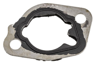 Carburetor-filter gasket Cedrus scarifier WR01 22001-E010030-00000