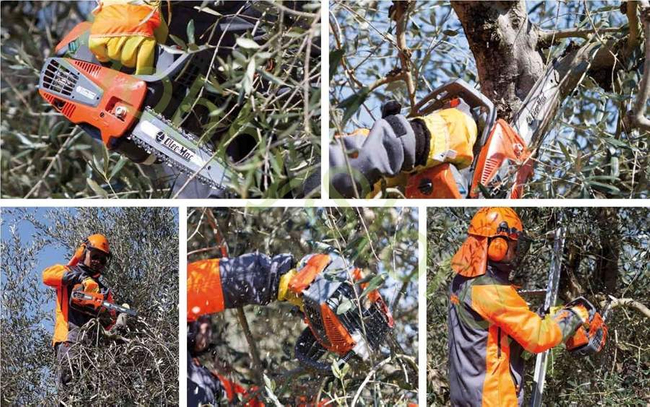 OLEO-MAC GST 250 PROFI PROFESSIONAL SAW CHAIN SAW CHAIN SAW LOPPER LOPPER LOPPER PREMIUM GRADE 50299001E2 EWIMAX-OFFICIAL DISTRIBUTOR - AUTHORIZED OLEO-MAC DEALER