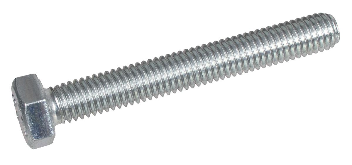 Śruba M8x60 Cedrus szczotka CEDRTJ16 97054