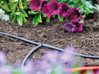 HOZELOCK OO-HOZ2772 wąż do systemu zraszającego 4 mm 10 m mikrorurka nawadniająca