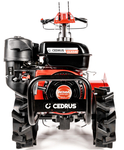 CEDRUS GLX540 SPRINIONÁLNÍ ROSTLINNÝ ZAHRADNÍK S POHONEM KULTIVÁTORU 5,5 HP / 54cm Weima 170F/P GLX 540 - EWIMAX - OFICIÁLNÍ DISTRIBUTOR - AUTORIZOVANÝ PRODEJCE CEDRUS