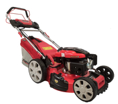 MASTERCUT FD51S/4/LC196EL_HW - 5 hp / 51 cm ELECTRIC MOTORIZED SPRINKLING MOWER + TRADITIONAL COMMISSIONING 