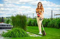 Cedrus Cordless Trimmer CEDST280LI CEDST280LI