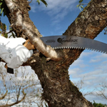 KAMIKAZE S-330-H MAX BENTWOOD BRANCH SAW - OFICIÁLNÍ DISTRIBUTOR - AUTORIZOVANÝ PRODEJCE KAMIKAZE