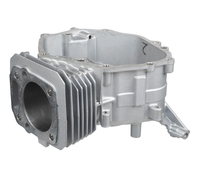 Cedrus engine cylinder Y196VE 480509