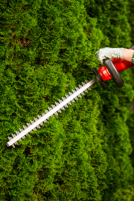 CEDRUS HT510 Li SEKATOR AKUMULATOROWY NOŻYCE DO ŻYWOPŁOTU KRZAKÓW KRZEWÓW CEDHT510LI 20V POWER+ OFICJALNY DYSTRYBUTOR - AUTORYZOWANY DEALER CEDRUS