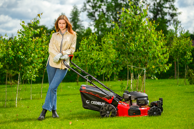 CEDRUS KS51S-H-ZT HONDA 5in1 SPRINELOVÁ SEKAČKA S POHONEM 51cm / 4,6 HP HONDA GCV170 - EWIMAX - Oficialní distributor - autorizovaný prodejce CEDRUS