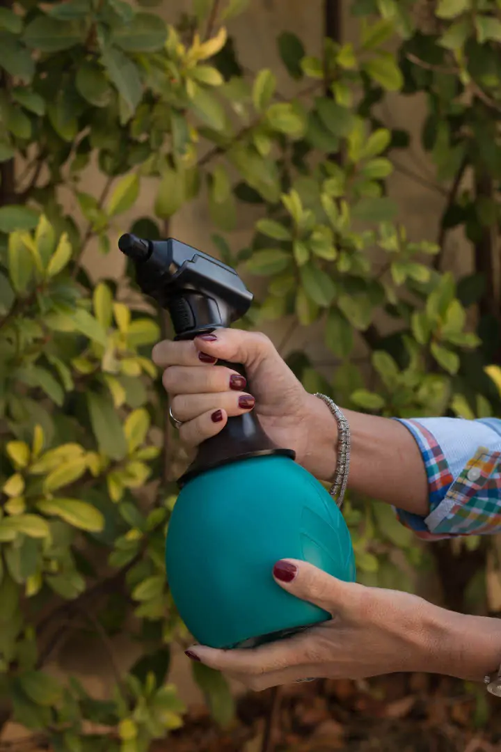 Opryskiwacz akumulatorowy Forest 1L Keeper w użyciu w ogrodzie