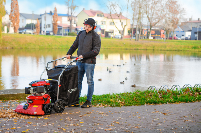 CEDRUS LV58 S PROFESSIONAL CLEANER + 4in1 SPRINEL LEAF VERTICULATOR 4in1 GARDEN DRIVE ROAD DRIVER 2in1 LV58S - OFFICIAL DISTRIBUTOR - AUTHORIZED DEALER CEDRUS