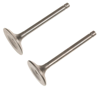 Loncin LC7500I LC7000I Valves ORIGINAL PART 500550063-0001