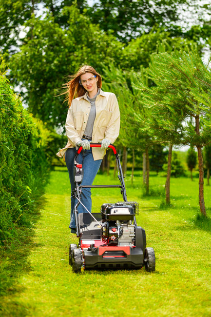 CEDRUS WR01 2v1 5,5 hp SPRINÁLNÍ VERTIKULÁTOR AREATOR 2v1 - EWIMAX - OFICIÁLNÍ DISTRIBUTOR - AUTORIZOVANÝ PRODEJCE CEDRUS