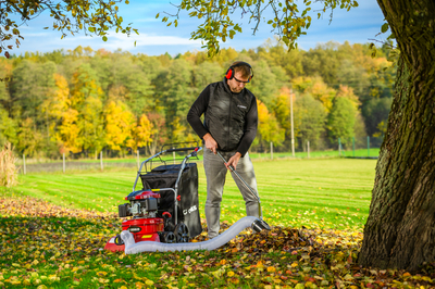 CEDRUS LV58 S PROFESSIONAL CLEANER + 4in1 SPRINEL LEAF VERTICULATOR 4in1 GARDEN DRIVE ROAD DRIVER 2in1 LV58S - OFFICIAL DISTRIBUTOR - AUTHORIZED DEALER CEDRUS