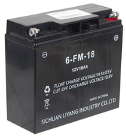 Loncin LCD186F 1WG7.5-146FC-Z battery ORIGINAL PART 271060208-0001