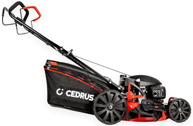 HONDA KOSIARKA SPALINOWA DO TRAWY CEDRUS KS51S-H Z NAPĘDEM 5w1 51cm / 5.6 KM HONDA GCV200 - EWIMAX - OFICJALNY DYSTRYBUTOR - AUTORYZOWANY DEALER CEDRUS