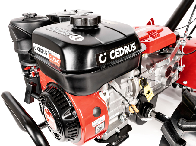 CEDRUS GLX540 SPRINIONAL PLANT-GARDENER WITH DRIVE CULTIVATOR 5.5HP / 54cm Weima 170F/P GLX 540 - EWIMAX - OFFICIAL DISTRIBUTOR - AUTHORIZED DEALER CEDRUS