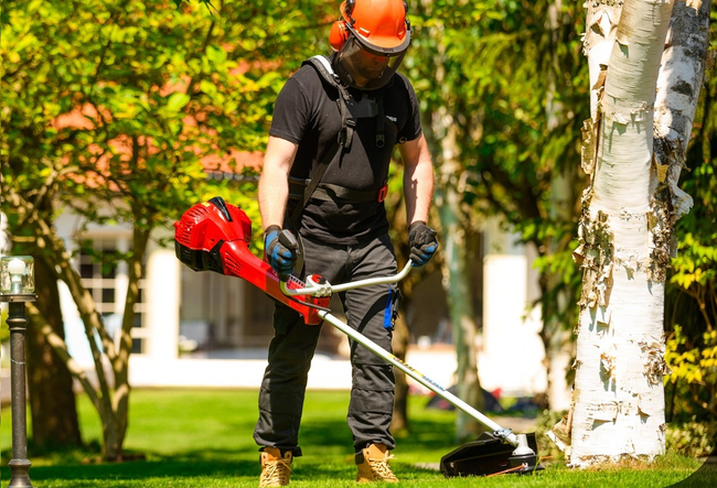 CEDRUS WK430X PETROL GRASS TRIMMER MOWER 1.8 KM EWIMAX - OFFICIAL DISTRIBUTOR - AUTHORIZED CEDRUS DEALER