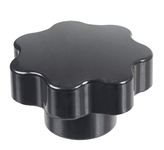 Cedrus seeder nut CEDRTJ02 97878