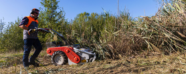 OLEO-MAC WB50 PROFESSIONAL GARDEN FLAIL LAWN SEKAČKA PREMIUM CLASS 68259101E5 - OFICIÁLNÍ DISTRIBUTOR - AUTORIZOVANÝ PRODEJCE OLEO-MAC