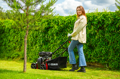 CEDRUS WR01 2v1 5,5 hp SPRINÁLNÍ VERTIKULÁTOR AREATOR 2v1 - EWIMAX - OFICIÁLNÍ DISTRIBUTOR - AUTORIZOVANÝ PRODEJCE CEDRUS