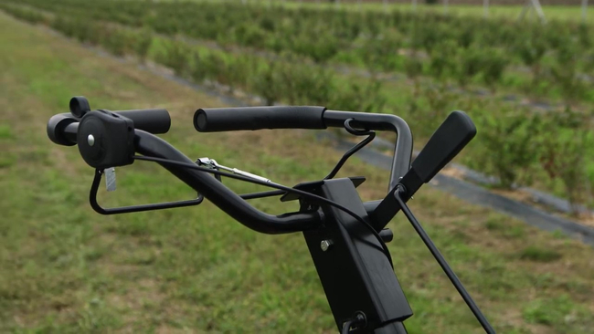 CEDRUS GL03 PRO-LC SPRINIONAL PLANT-GARDENER WITH DRIVE CULTIVATOR 6.5 HP / 45cm LONCIN G200F GL03 - EWIMAX - OFFICIAL DISTRIBUTOR - AUTHORIZED DEALER CEDRUS