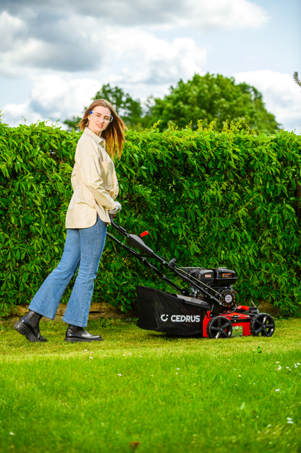 CEDRUS WR01 2v1 5,5 hp SPRINÁLNÍ VERTIKULÁTOR AREATOR 2v1 - EWIMAX - OFICIÁLNÍ DISTRIBUTOR - AUTORIZOVANÝ PRODEJCE CEDRUS