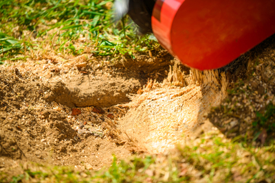 CEDRUS FR01 ROOT PLANTER TREE GRUBBER 15 KM - EWIMAX - OFFICIAL DISTRIBUTOR - AUTHORIZED CEDRUS DEALER