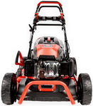 CEDRUS KS53S MOTORIZOVANÁ SEKÁČKA NA VÍNU 53cm / 5,7 HP - EWIMAX - OFICIÁLNÍ DISTRIBUTOR - AUTORIZOVANÝ PRODEJCE CEDRUS