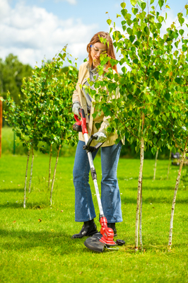 Cedrus Cordless Trimmer CEDST280LI CEDST280LI