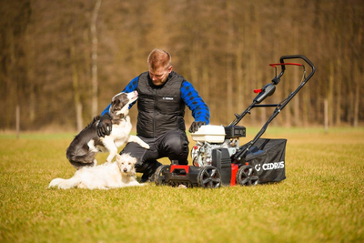 CEDRUS WR01-H SPRELINER TREE TILLER AREATOR 2-in-1 6 HP HONDA GP200 - EWIMAX - OFFICIAL DISTRIBUTOR - AUTHORIZED DEALER CEDRUS