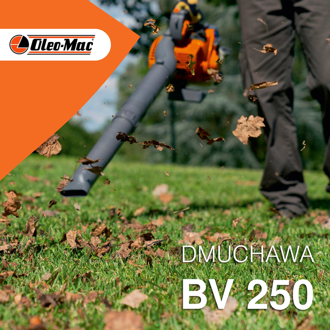 OLEO MAC BV 250 PETROL VACUUM CLEANER GARDEN LEAF BLOWER PREMIUM CLASS 56609001E5 EWIMAX-OFFICIAL DISTRIBUTOR-AUTHORIZED OLEO-MAC DEALER